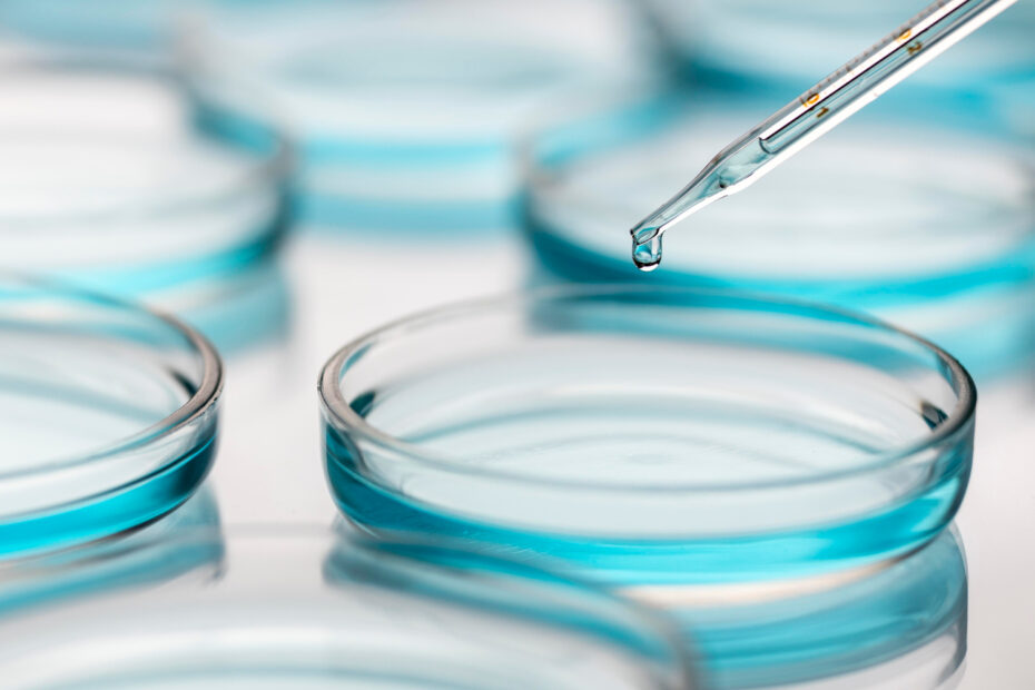 Petri dish